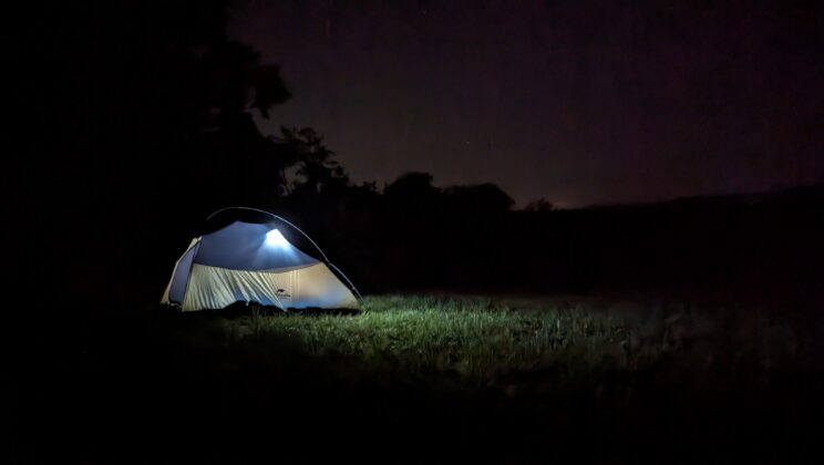 The Flickering: the wild still sings in the dark